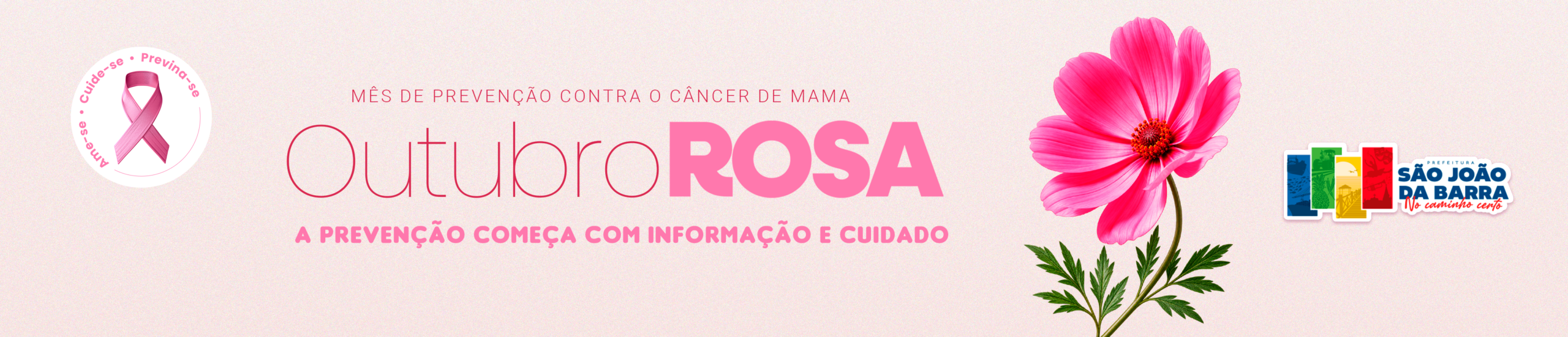1000 x 215 (8)